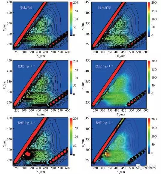 不同鹽度下MBR-2 上清液SMP 與出水的3DEEM圖